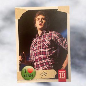 Liam Payne One Direction Trading Cards #8